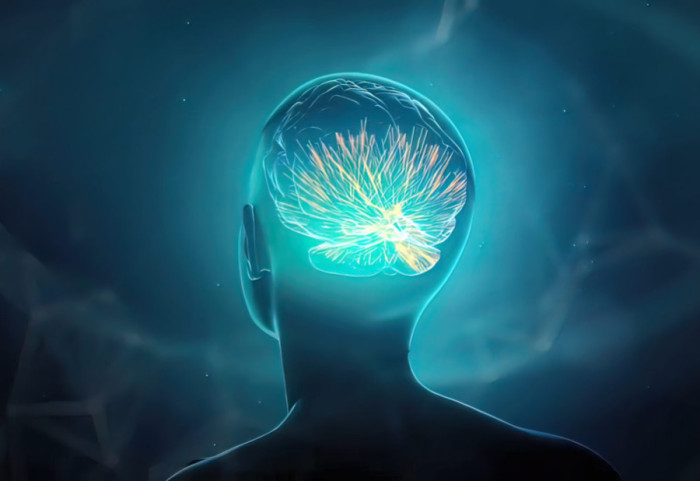 Si te filmi “The Matrix”, teknologjia transmeton aftësi të reja direkt në tru