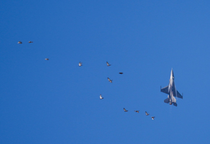 Shteti europian që bleu avionë F-16 për vetëm 1 euro