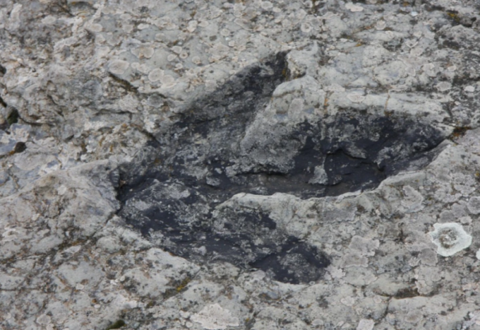 Zbulim historik, mijëra gjurmë dinosaurësh gjenden në shkëmbinjtë e Alpeve