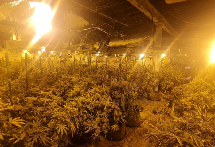 Policia i zbuloi magazinën e mbushur me kanabis, dënohen 15 shqiptarë në Liverpool