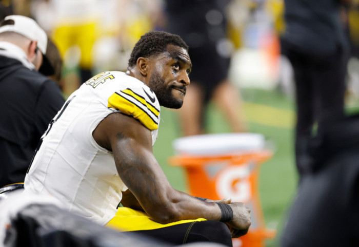 Incident në NFL, lojtari i Pittsburgh, grusht tifozit kundërshtar