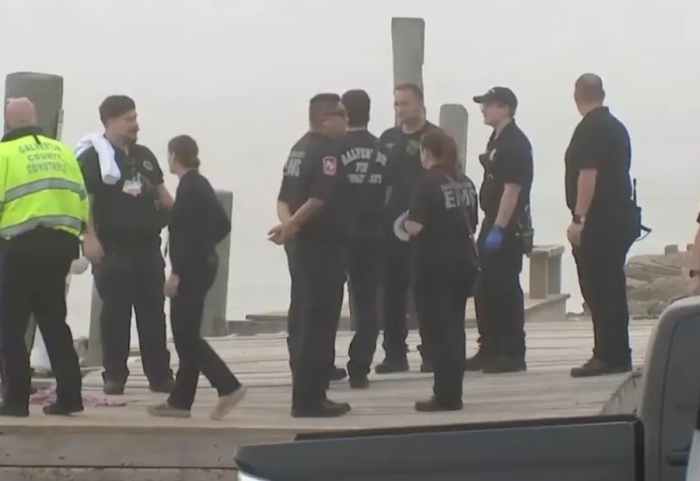 Rrëzohet avion i Marinës Meksikane pranë Teksasit, 6 viktima