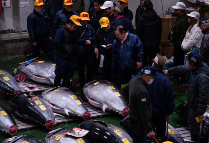 Thyhet rekordi, peshku ton shitet për 2.7 milionë euro në ankandin e Tokios