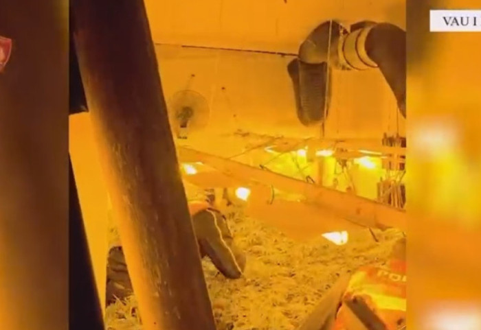 Zbulohen dy shtëpi bari në Vaun e Dejës, një në pranga. Ndalohen dhe 3 punonjës të OSHEE