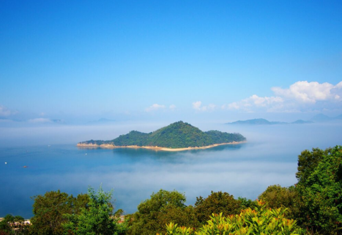 Ishulli në Ballkan ku ka më shumë lepuj sesa njerëz