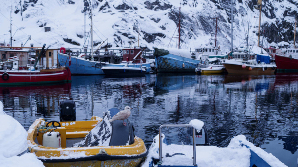 'Thembra e Akilit' e Groenlandës që mund ta detyrojë Trump të rishikojë planin e tij