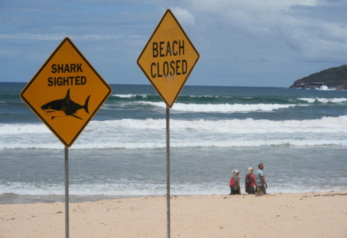 Australia shpall “karantinën” në plazhe, 4 sulme nga peshkaqenët në dy ditë