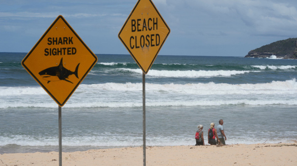 Australia shpall “karantinën” në plazhe, 4 sulme nga peshkaqenët në dy ditë