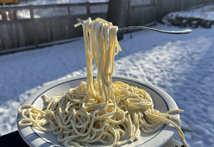 Acari në SHBA, art me makaronat e ngrira në -29°C