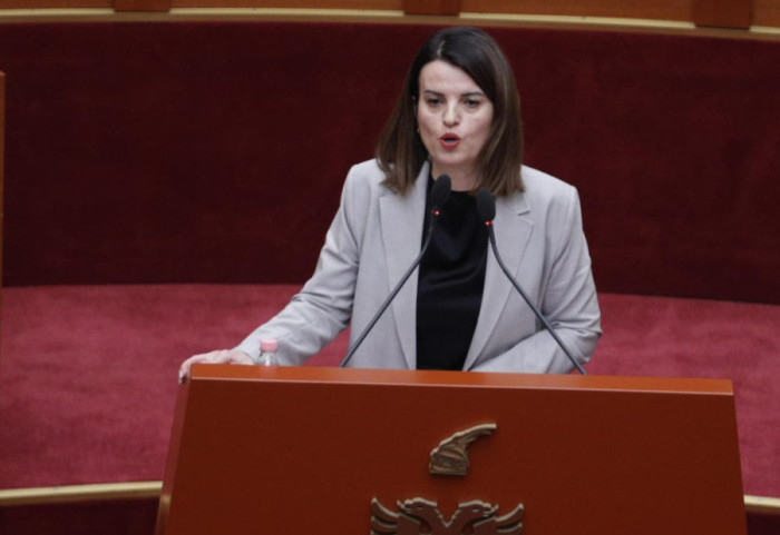 Koçiu: Policia veproi sipas ligjit në protestë, i mituri po qëllonte efektivët me gurë