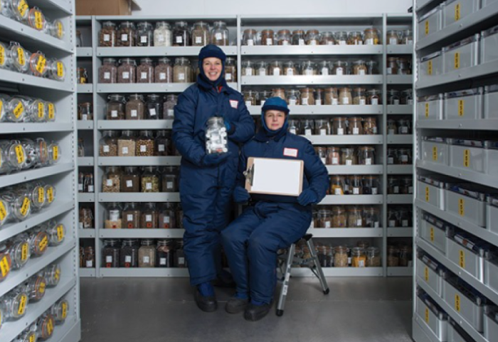 U projektua për rimëkëmbjen pas një katastrofe globale, çfarë fsheh brenda “Kutia e Apokalipsit”?