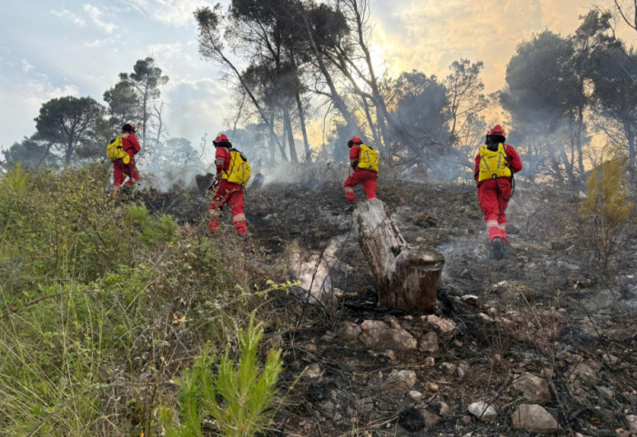 Zjarret shkatërruese gjatë verës, mbi 345 milionë lekë dëmshpërblim për 15 Bashki