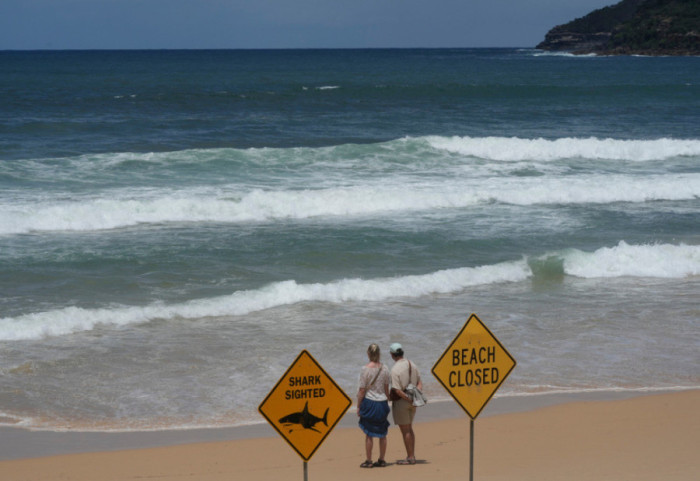 13-vjeçari hero noton 4 km në det për të shpëtuar nënën, vëllanë dhe motrën e tij