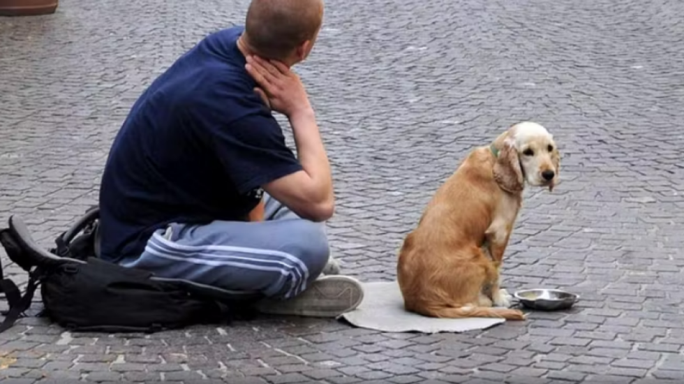 Italia në alarm, një në pesë familje rrezikon varfërinë