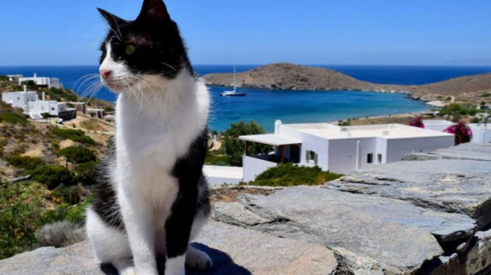 Pushime falas në vilë me pamje nga deti në ishullin grek, ka vetëm një kusht