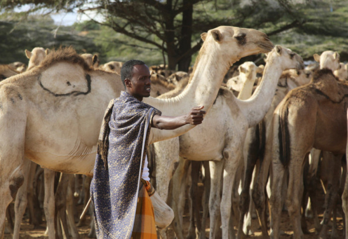 Devetë pajisen me pasaportë në Arabinë Saudite, zbulohen arsyet