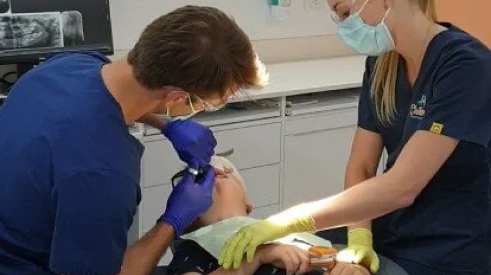 “Vrasje nga pakujdesia”: Shtatë persona në gjyq për vdekjen e 3-vjeçarit, pas ndërhyrjes në 14 dhëmbë