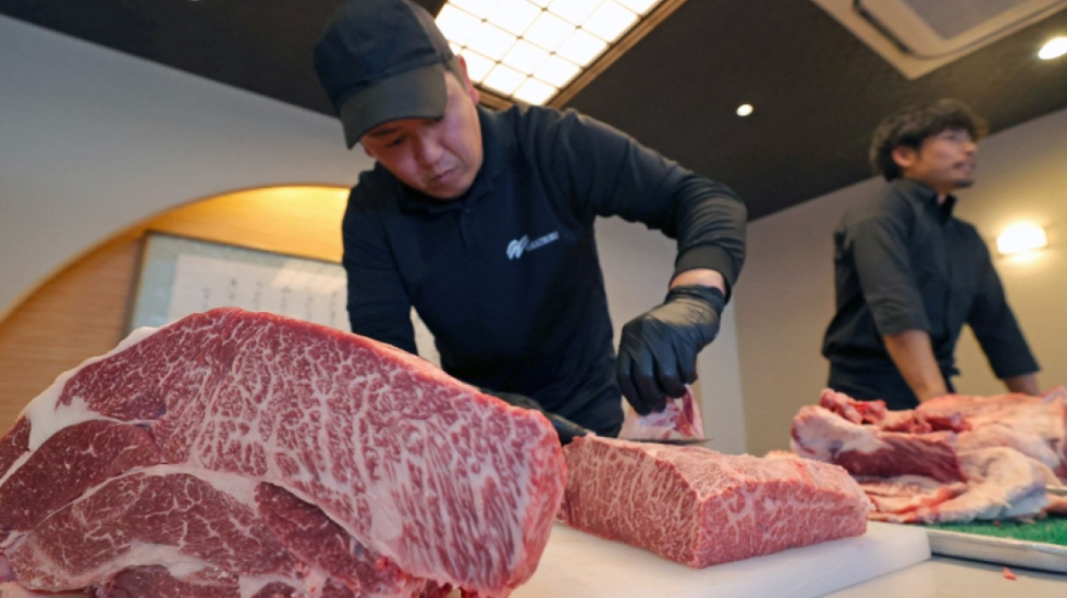 Vejusha e zezë ‘pushton’ Kinën, pse populli po blen mishin e shtrenjtë të derrit Wagyu?