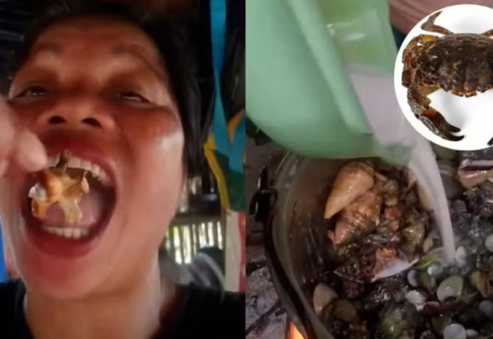 Konsumoi gaforren “djall” live në rrjetet sociale, ndërron jetë vlogerja e ushqimit