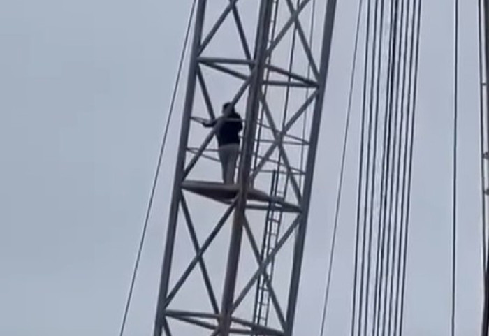 Gruaja në Kuçovë hipën në shtyllë dhe kërcënon të hidhet: S’më kanë dhënë rrogën prej dy muajsh!