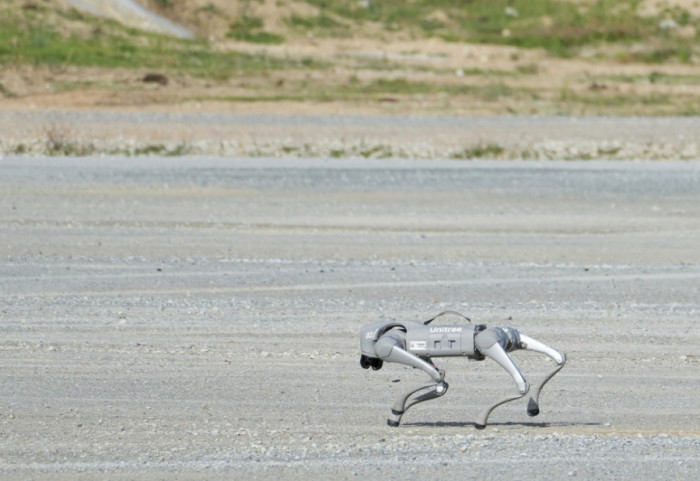 Botërori i Futbollit, qentë robotë do ndihmojnë policinë meksikane
