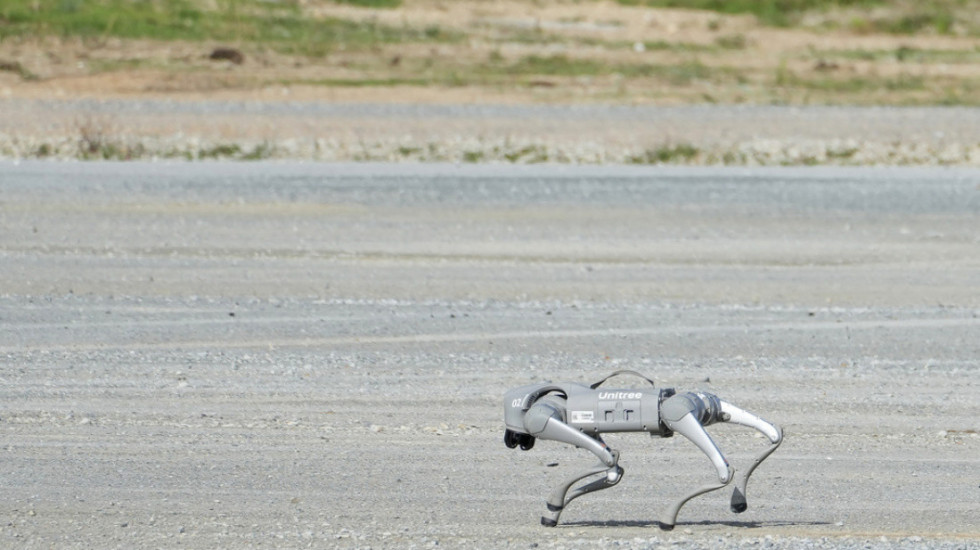 Botërori i Futbollit, qentë robotë do ndihmojnë policinë meksikane