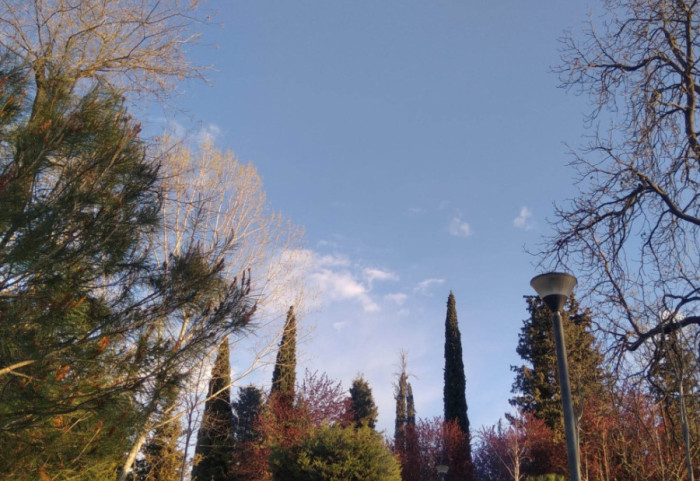 E diel pranverore, termometri ngjitet deri në 24°C