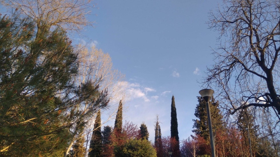 E diel pranverore, termometri ngjitet deri në 24°C