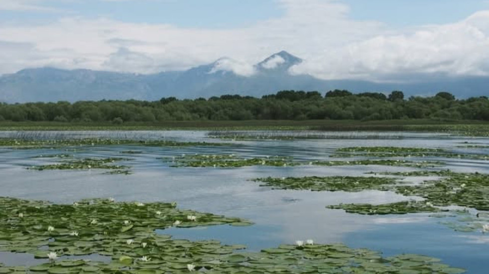 Liqeni i Shkodrës në pritje të statusit ndërkombëtar të UNESCO-s
