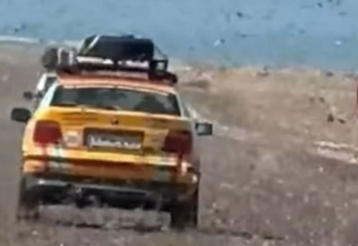 Shenjë apokalipsi? Karkalecët pushtojnë Saharanë