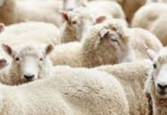 Lija e dhenve godet Maqedoninë e Veriut, regjistrohen 4 vatra