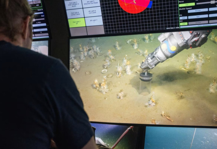 Mikrobi që shpjegon jetën tonë komplekse në Tokë, nga e kemi prejardhjen?