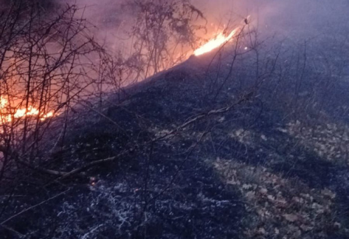Pas Bulqizës, edhe Pogradeci në alarm nga zjarret: Era ndihmon përhapjen e flakëve në Somotinë