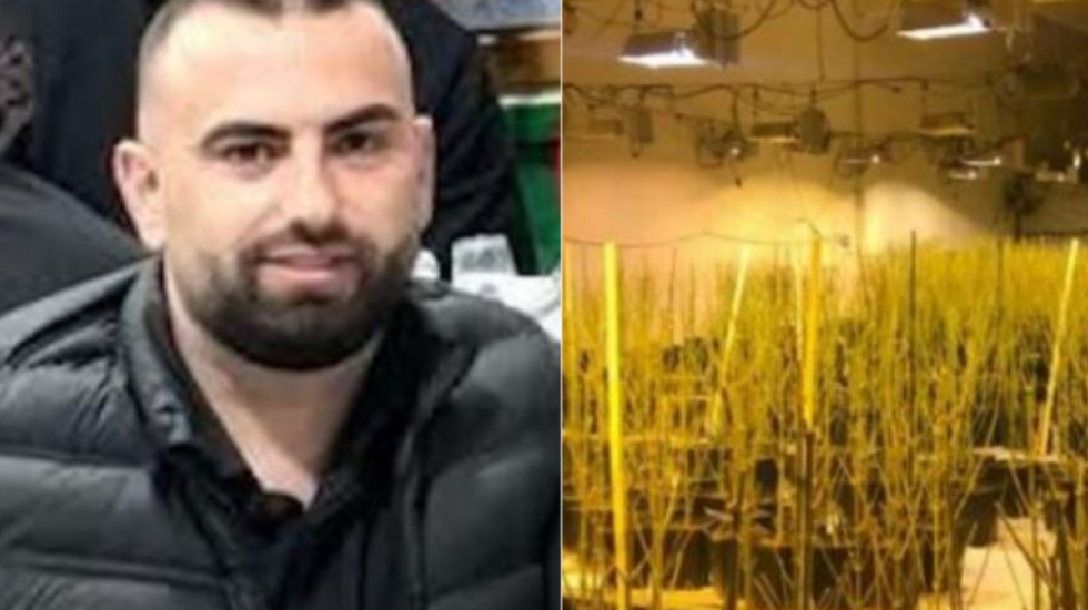 U akuzua për kultivim narkotikësh, lirohet drejtori i burgut të Rogozhinës