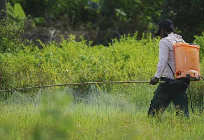 "Uria rekord", alarmi i Programit Botëror të Ushqimit: Preken 363 milionë njerëz nga lufta
