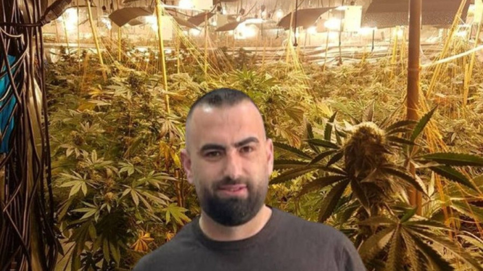 “Na shkatërroi”, drejtori i burgut të Rrogozhinës bën fajtor vëllain për magazinën me 4000 bimë kanabis