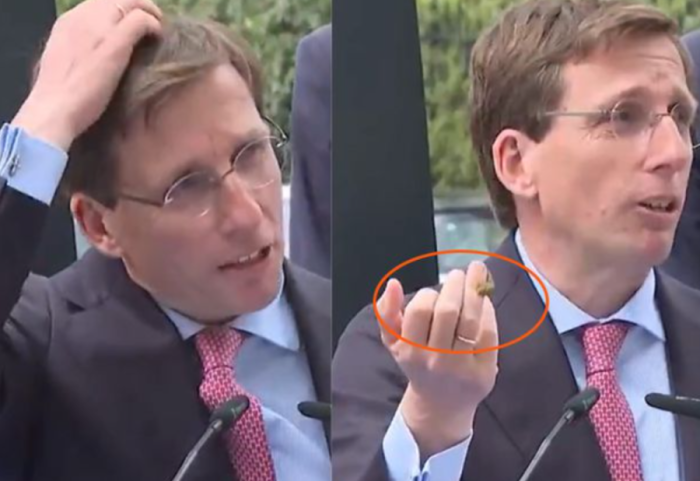 Pëllumbi “bekon” kryetarin e bashkisë në mes të fjalimit