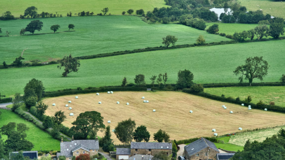 “Do e mbjellim grurë”, familja refuzon 26 milionë dollarë për të shitur tokën