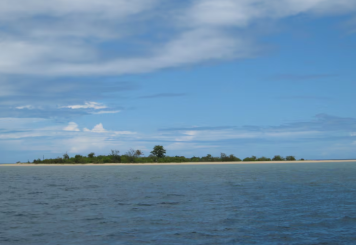 Studiuesit zbulojnë ishullin në mes të Paqësorit të krijuar nga miliona guaska