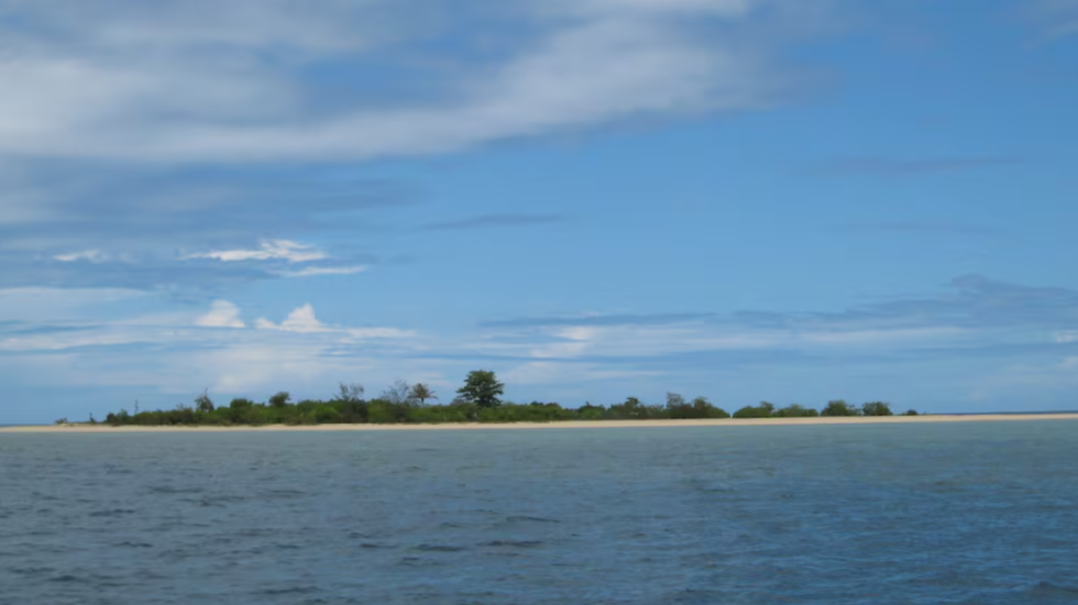 Studiuesit zbulojnë ishullin në mes të Paqësorit të krijuar nga miliona guaska