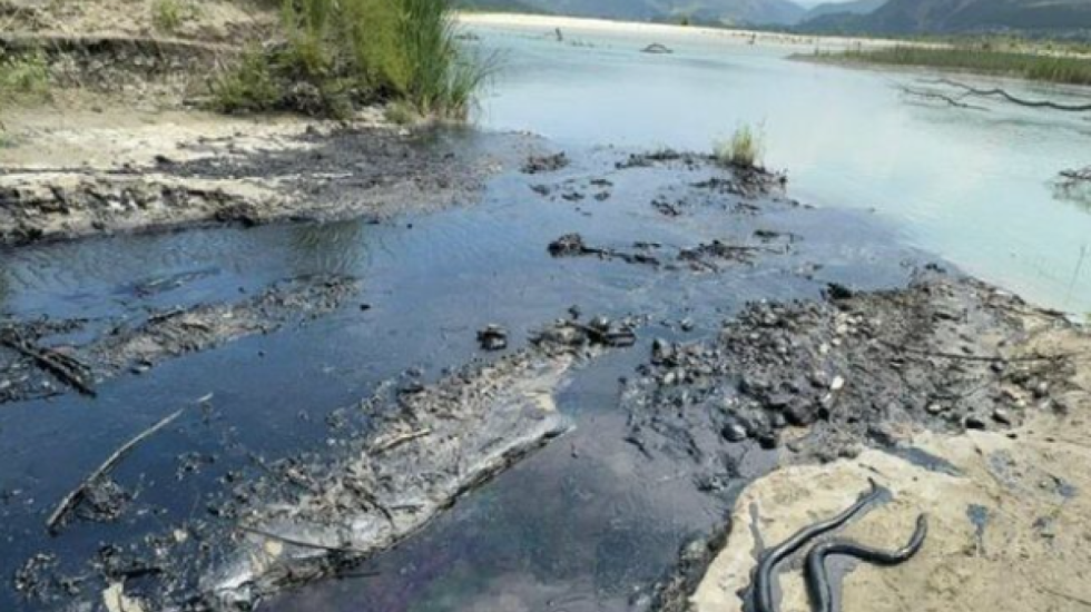 Ndotja mjedisore në Vjosë, procedohen 4 punonjës të kompanisë së nxjerrjes së naftës