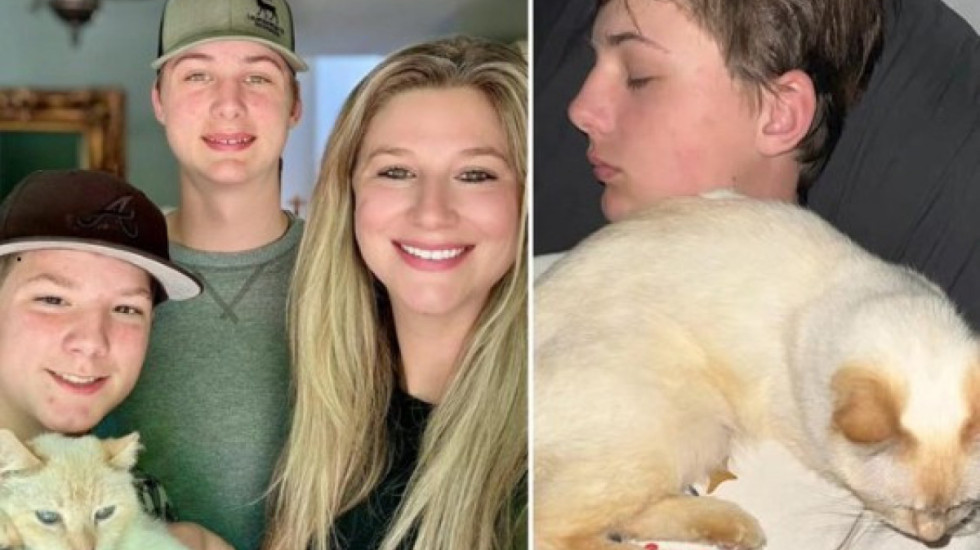 Macja e zhdukur kthehet pas 7 vitesh në shtëpi, pas një udhëtimi prej 4.000 km