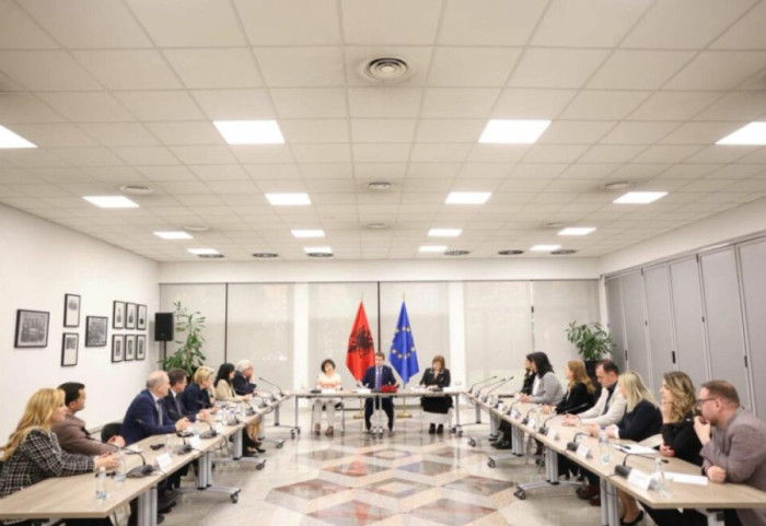 Takim me Këshillin e Diasporës, ministri Hoxha: Fazë e re bashkëpunimi për “Shqipërinë 2030”