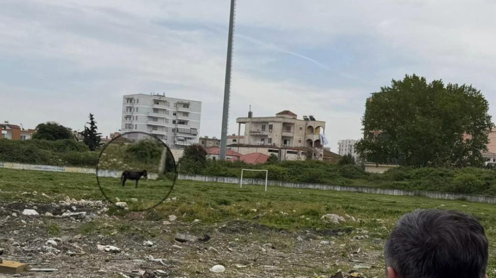 “Penalltitë në Kavajë i gjuan kali”, gjendja katastrofike e stadiumit “Besa”