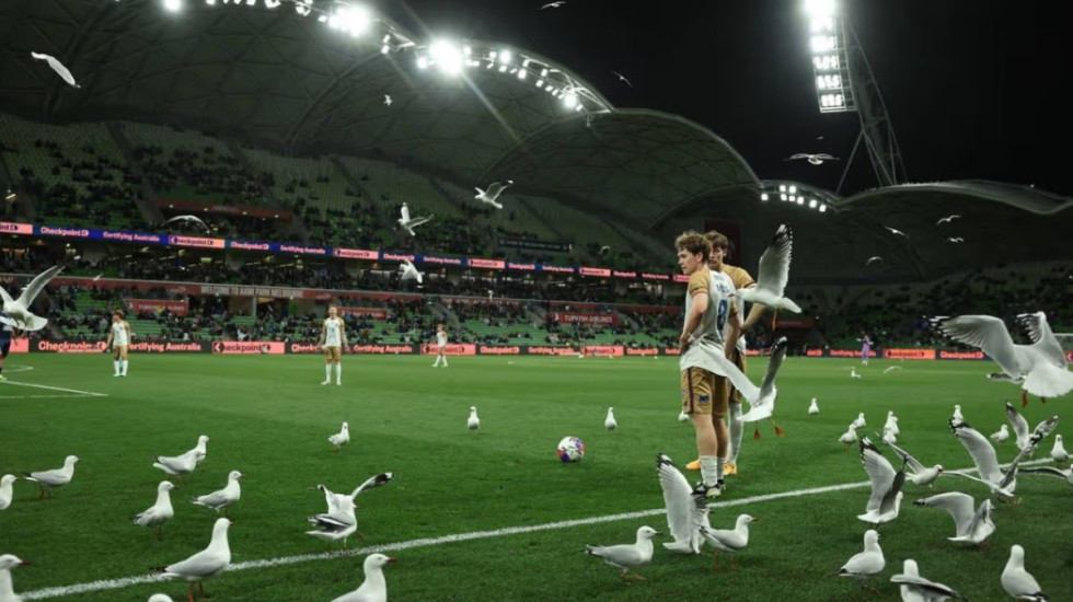 Loja ndalet prej “pushtimit” të fushës, ngjarja e pazakontë në Australi